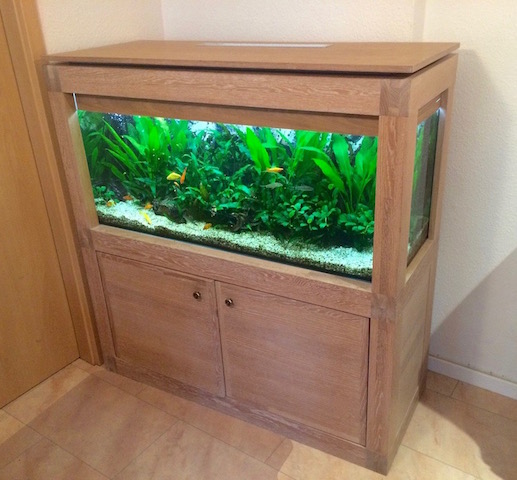 Fischglasschrank massiv Eiche